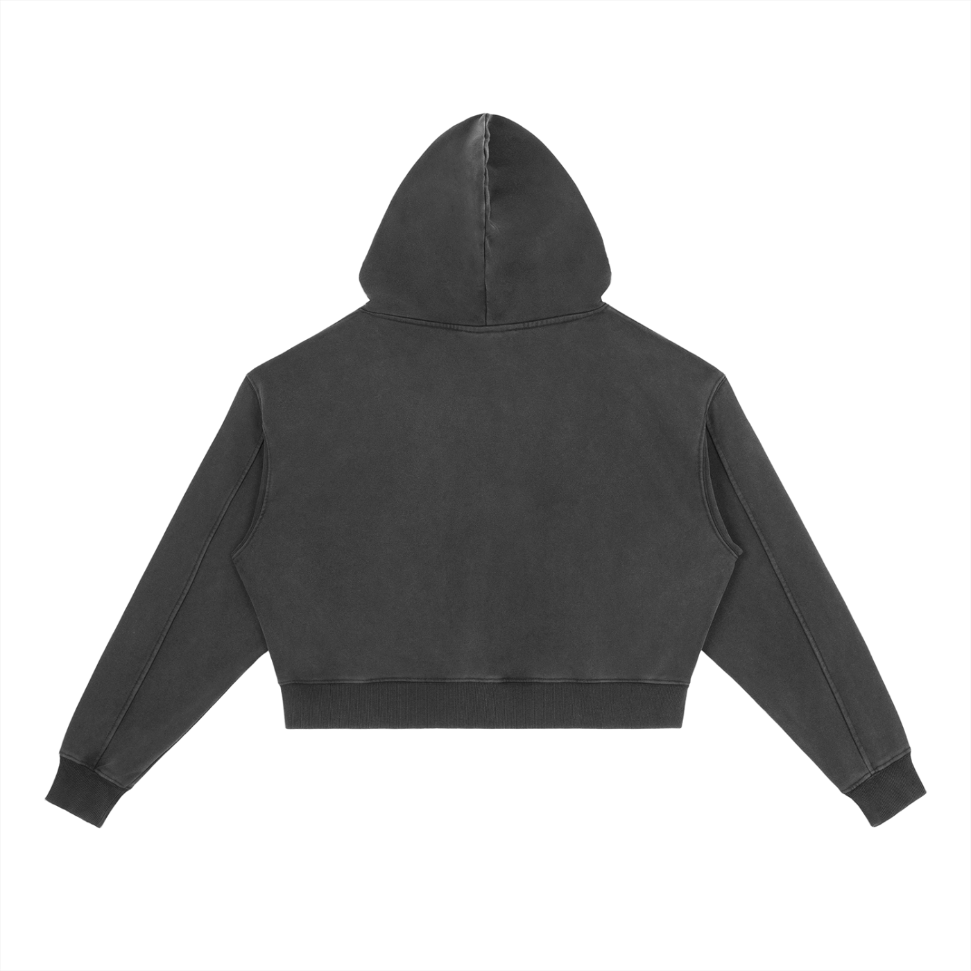 Bag Bear Heavyweight Hoodie
