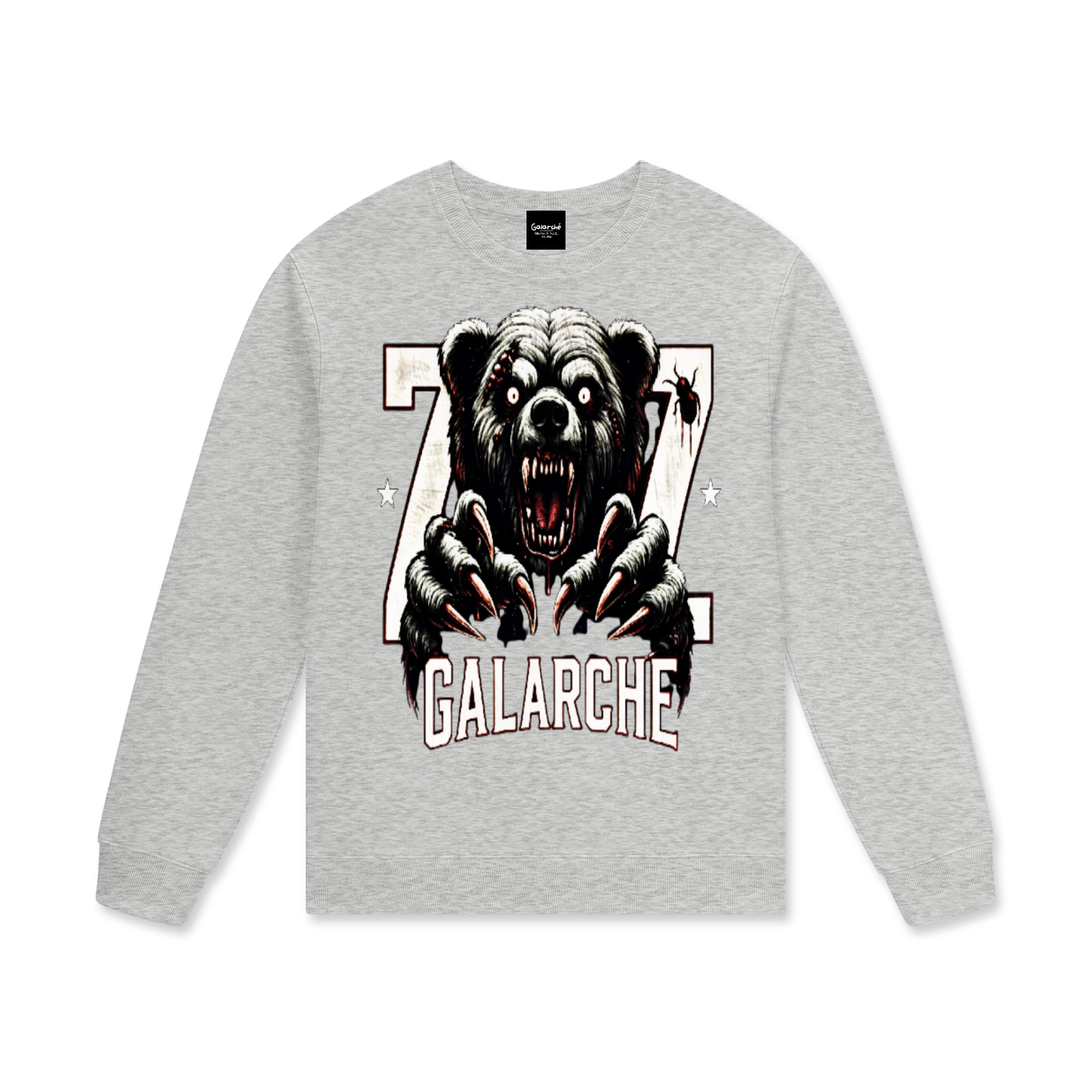 Team Galarche Streetwear 100% Cotton Pullover